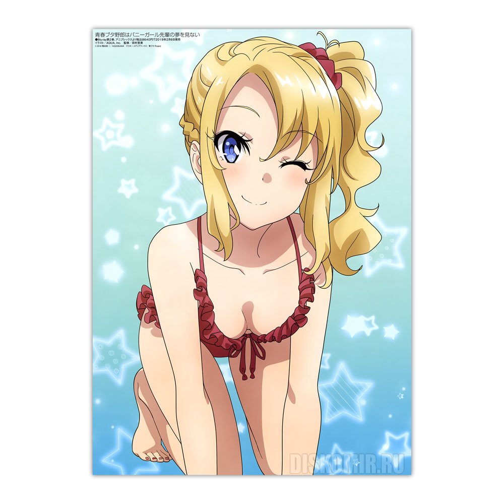 ������ �������� Seishun Buta Yarou wa Bunny Girl Senpai no Yume wo Minai - Nodoka Toyohama