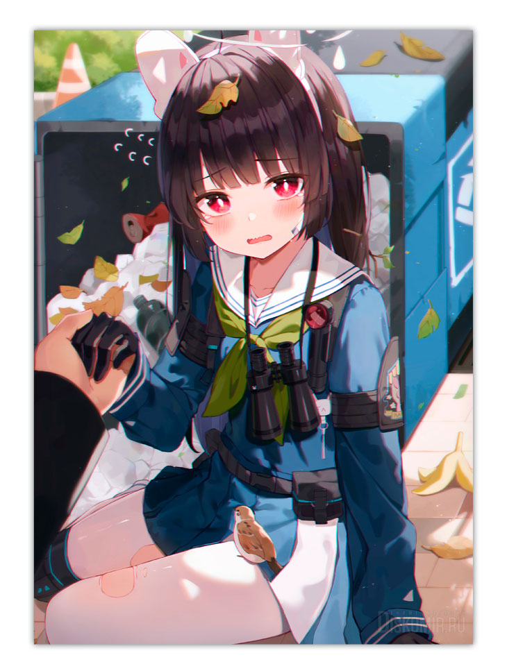 ������ �������� ����� ����� / ��� �����������