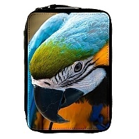   Animals Theme 330752