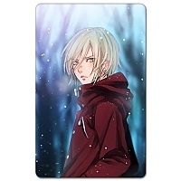       - Plisetsky Winter