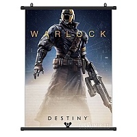   Destiny Warlock