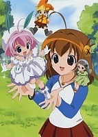 Sugar: A Little Snow Fairy Summer Special (    -  )