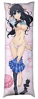      Netoge no Yome wa Onnanoko ja Nai to Omotta? -  
