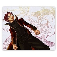    Fairy Tail 310061