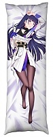     Raiden Mei  Houkai 3rd