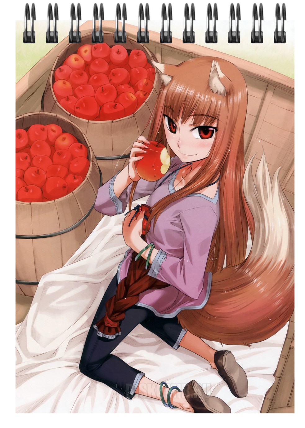 ���������� ������� �������� ��� ��������� A6 ������� � �������� - ���� �� ����� � ����� ������� � �������� / Spice and Wolf / Ookami to Koushinryou