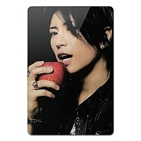    Gackt Camui  
