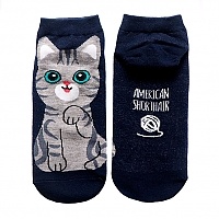 ����� The �at - American Shorthair