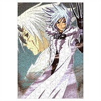  D.Gray-man ( A3, 252 ) 66997