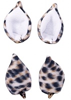 ���� Sweet Kawaii Clip on Cat Ears - Jaguar