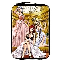     Fairy Tail /  