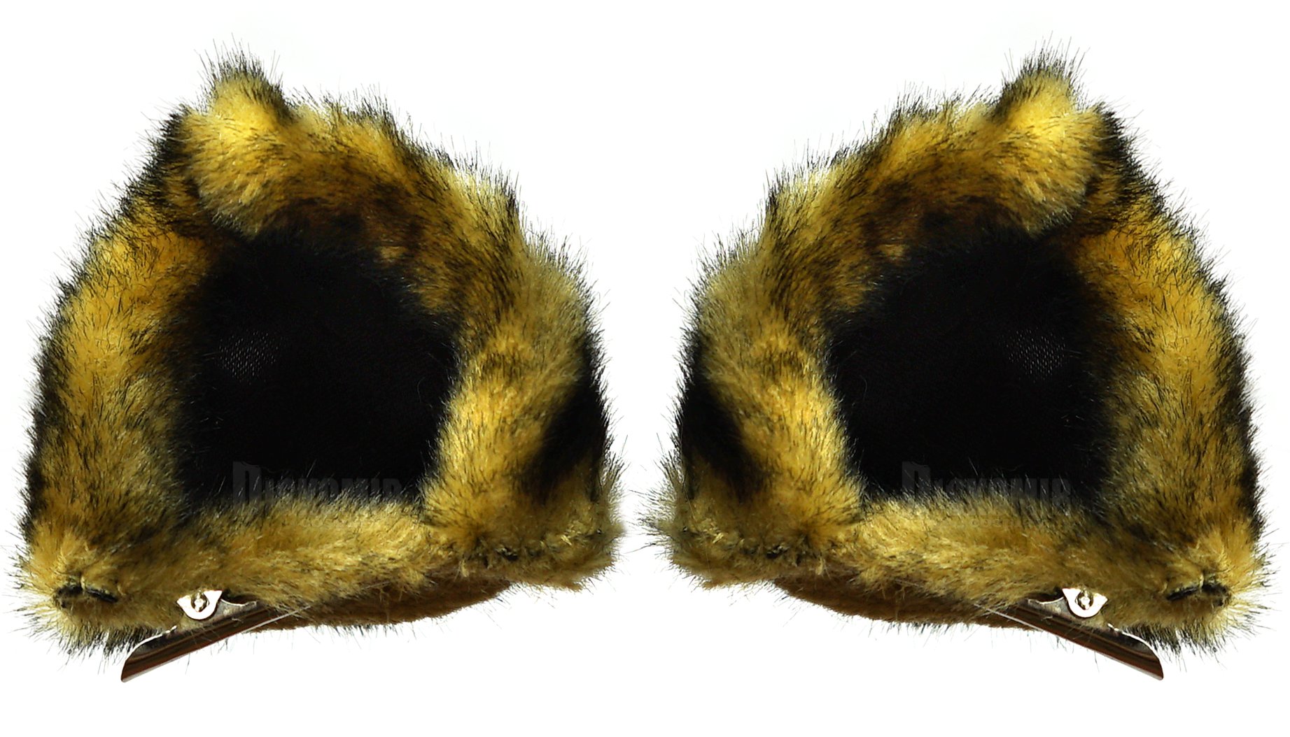 ���������� ������� ���� ���� ����-���������� � ������ ������� (������� ���) �� ����� � ����� 