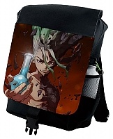   Dr. Stone