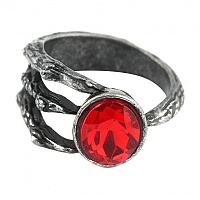 ������ Dark Souls �18