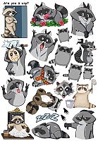  Funny Raccoons