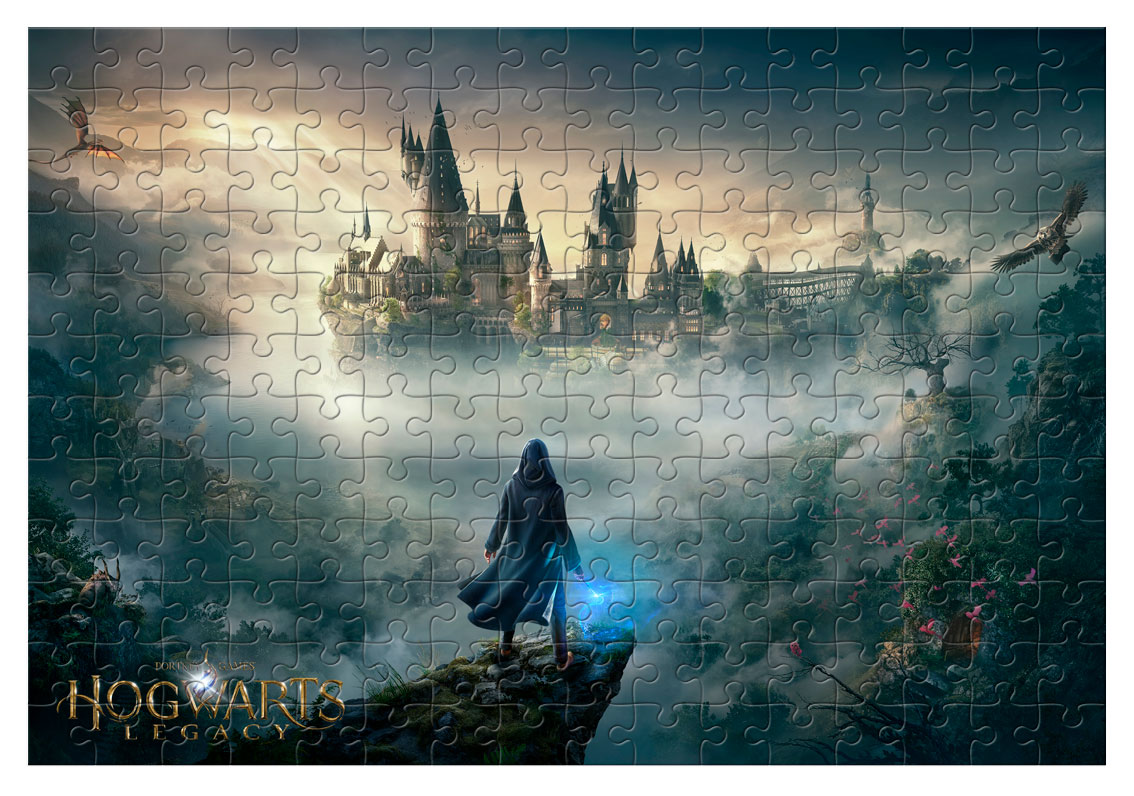 ���� ��������. �������� (������ A3, 252 ������)