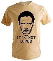  House M.D.: It's not Lupus