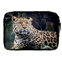   Animals Theme 330746