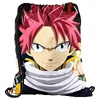    Fairy Tail 302295