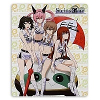   Steins;Gate 319840