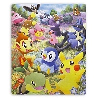     Pokemon Pikachu, Turtwig, Chimchar, Piplup, Buneary, Glameow
