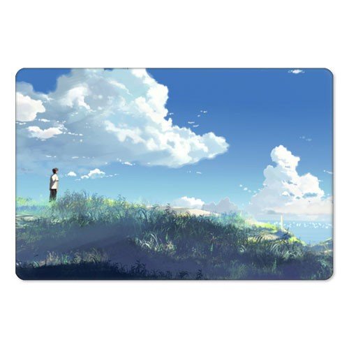 ������ ��������� ������������� Byousoku 5 Centimeter 310447