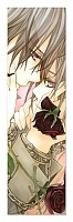  Vampire Knight 349872