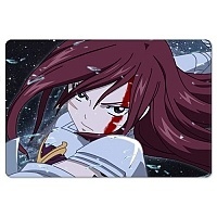    Fairy Tail 305338