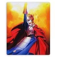   Fate/stay night 308259