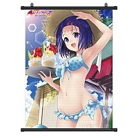   To Love-Ru Darkness - Haruna Beach House Ver.
