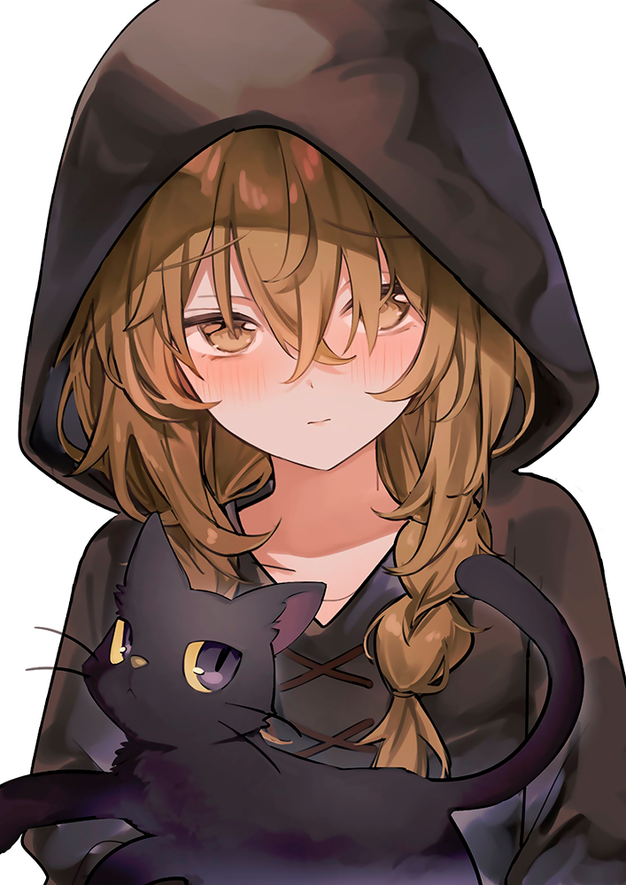 ������ �������� ���������� ������ / ���� � ������ �5