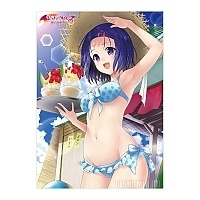   To Love-Ru Darkness - Haruna Beach House Ver.