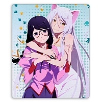       - Tsubasa Hanekawa  