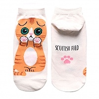 ����� The �at - Scottish Fold