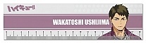  (18) Haikyu!! To The Top - Ushijima Wakatoshi