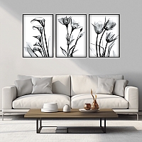     - X-Ray Flowers