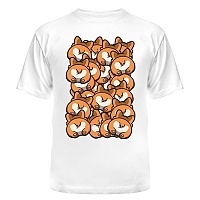  "Funny Collection" 