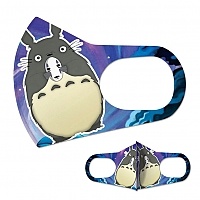 ����� �� ���� Totoro 583436