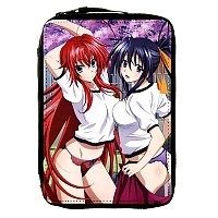       DxD / High School DxD