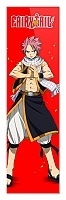    Fairy Tail Natsu Dragneel