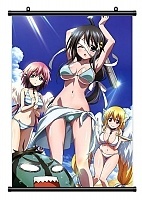   Sora no Otoshimono 313496