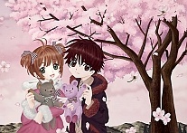    -   - Syaoran Li  Sakura Kinomoto