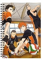    A5   Haikyuu!!