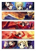   Fate No.2