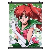   Sailor Jupiter Guardian of Protection