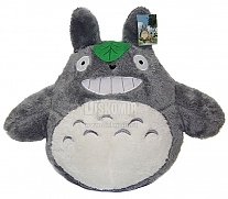 ������ ������� ������ 300 ��