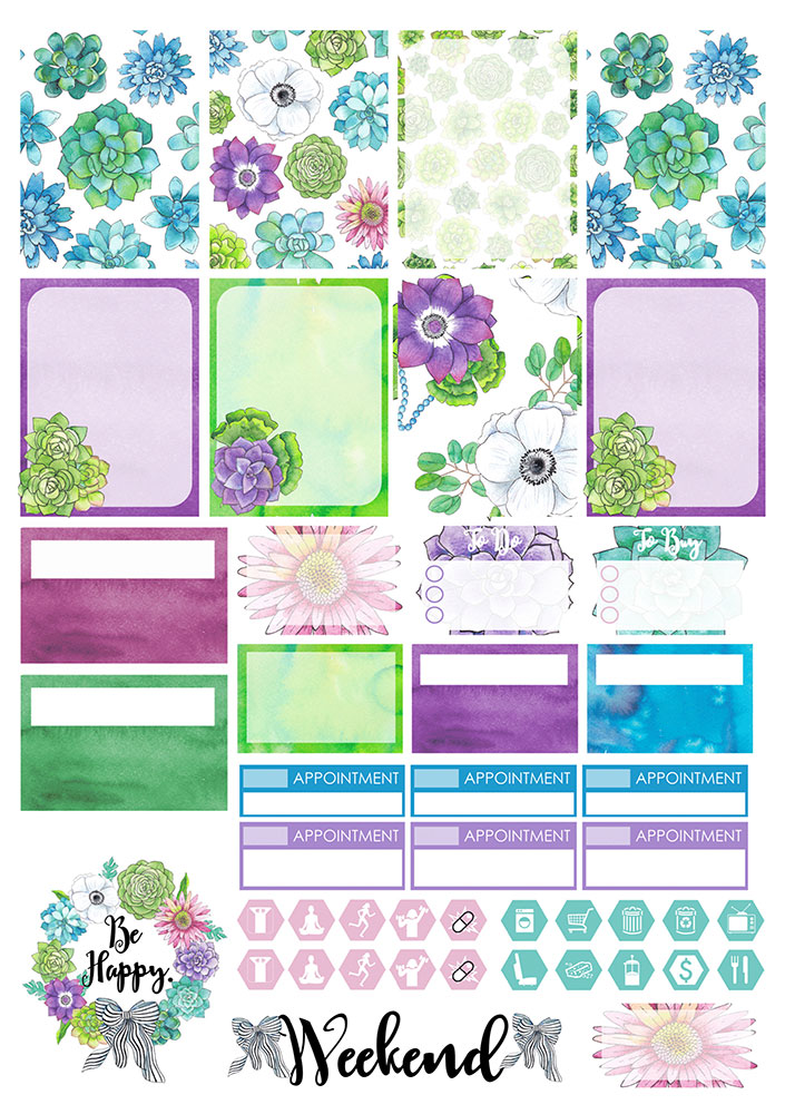 �������� ��� ����������� No.17 ��������� ��������