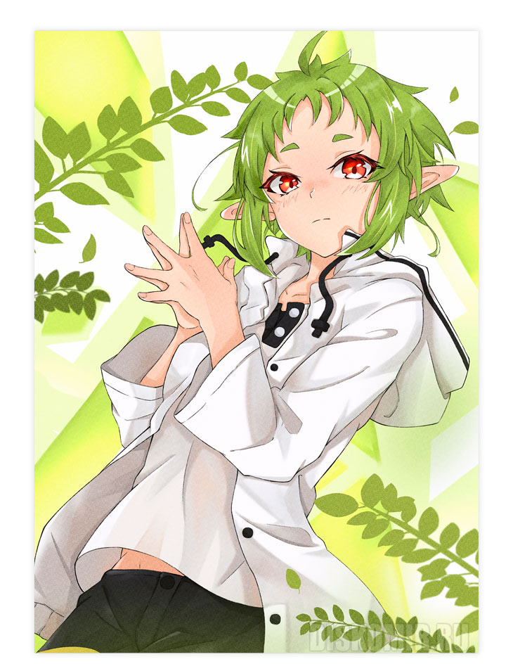 ������ �������� ���������� / ������������ ������������