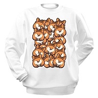  "Funny Collection" 