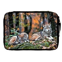   Animals Theme 330747